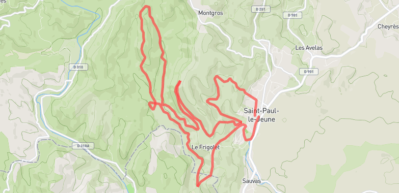 Trace Gps Trans Saint Paulienne Saint Paul Le Jeune 5659