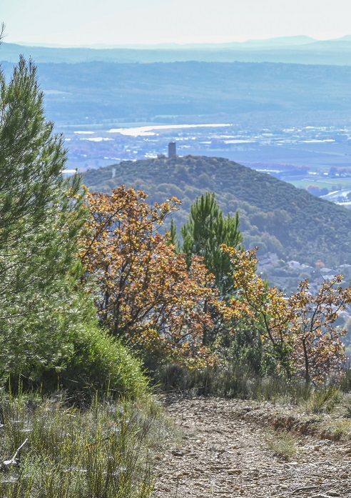 Trail des Collines de Giono