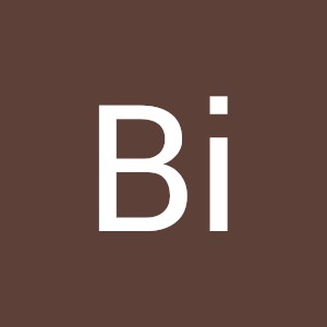 Bi B.