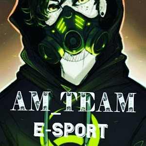 Am_Team_ E.